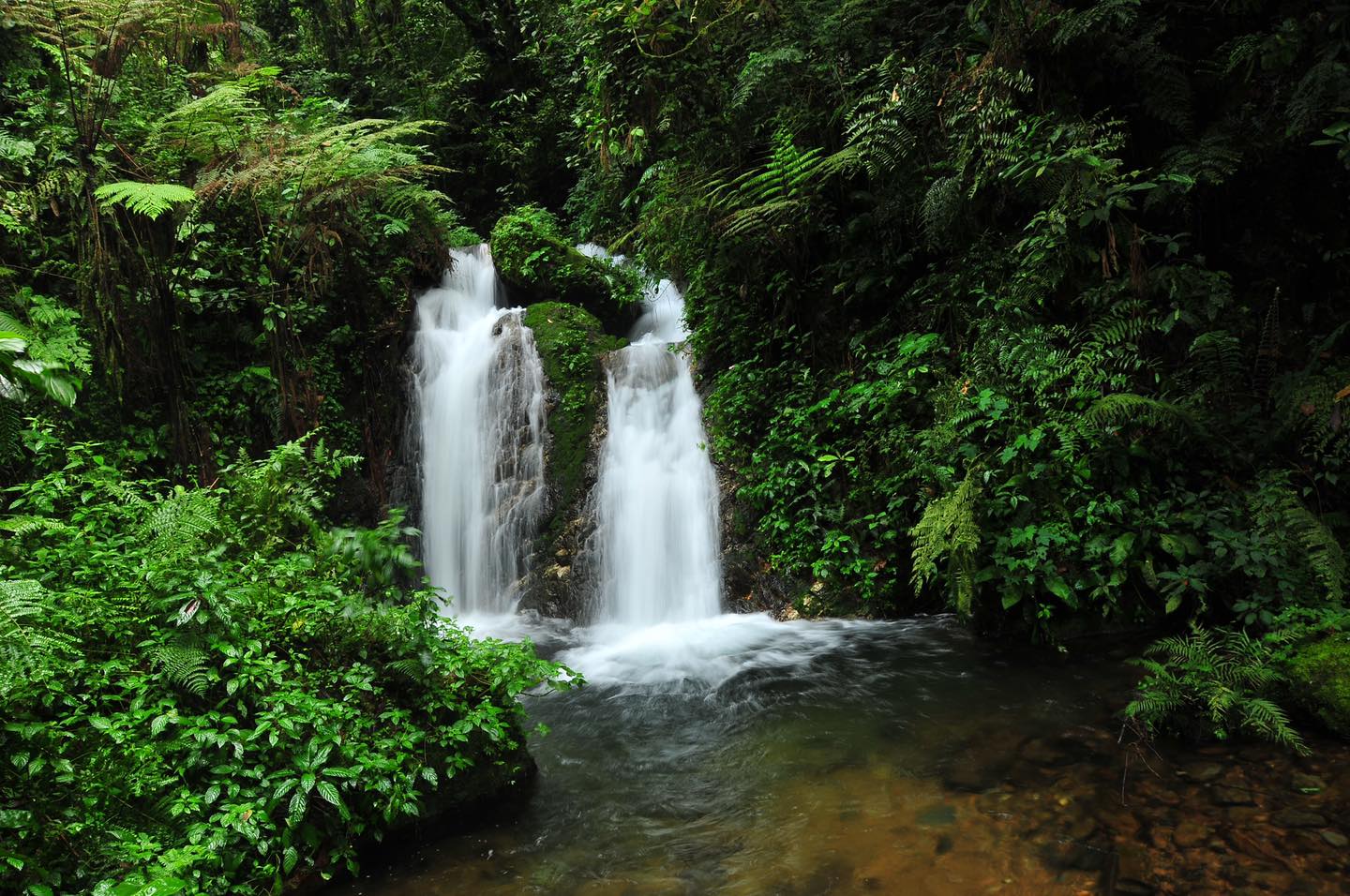 Waterfalls in Bwindi forest