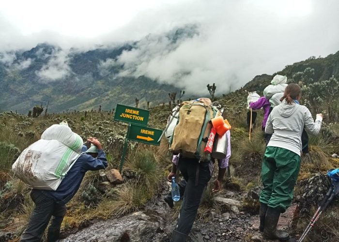Climbing Mount Rwenzori