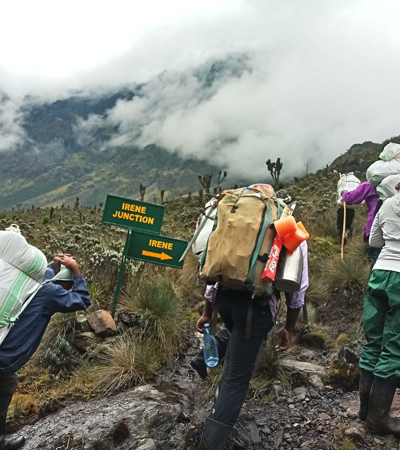 Climbing Mount Rwenzori