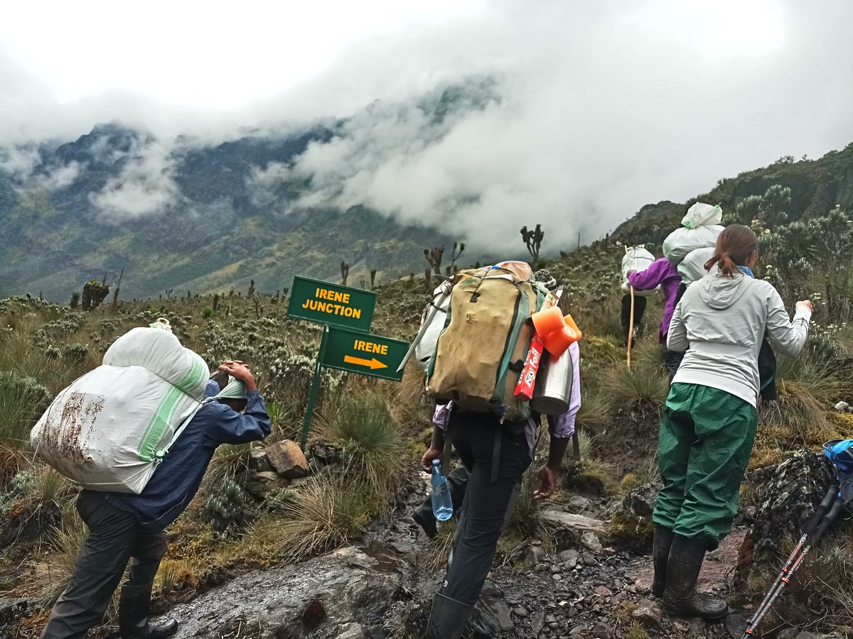 Rwenzori climbing in Uganda Climbing Mount Rwenzori