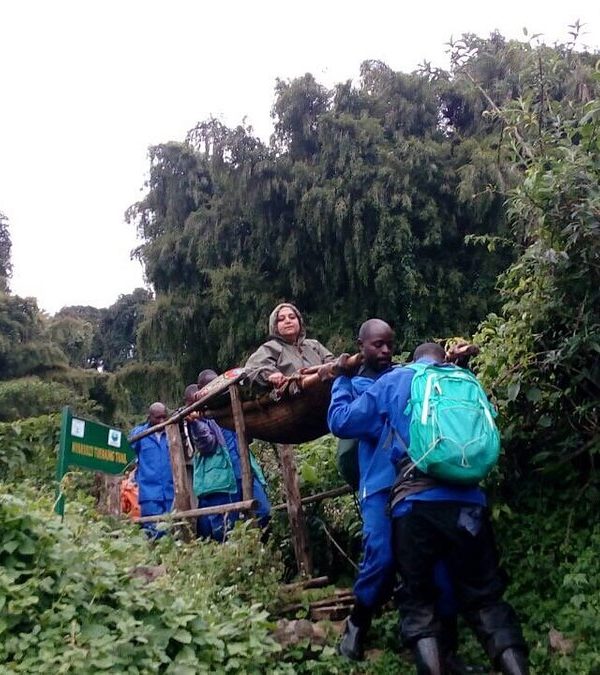 Gorilla Trekking experience in Bwindi Impenetrable forest for the disabled.