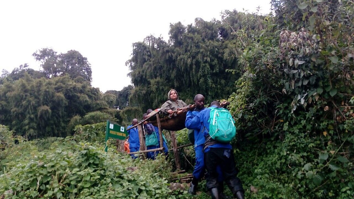 Gorilla Trekking experience in Bwindi Impenetrable forest for the disabled.