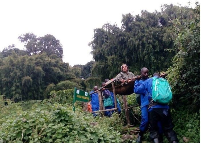 Gorilla Trekking experience in Bwindi Impenetrable forest for the disabled.