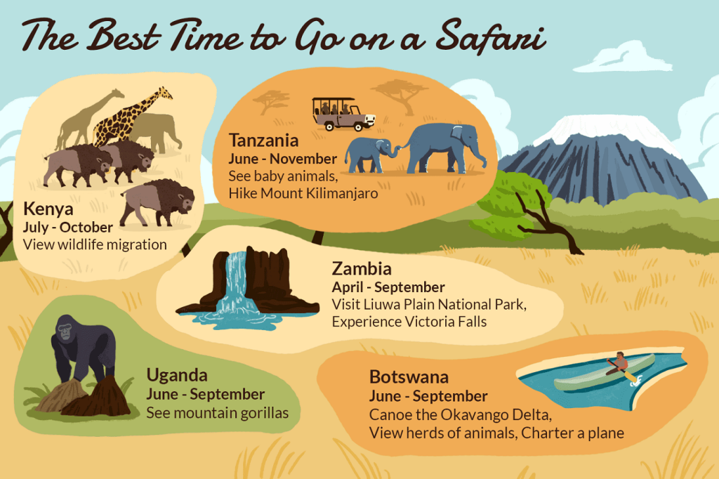 Best Time for Uganda Safari