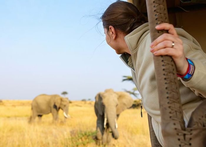 Best Time for Uganda Safari