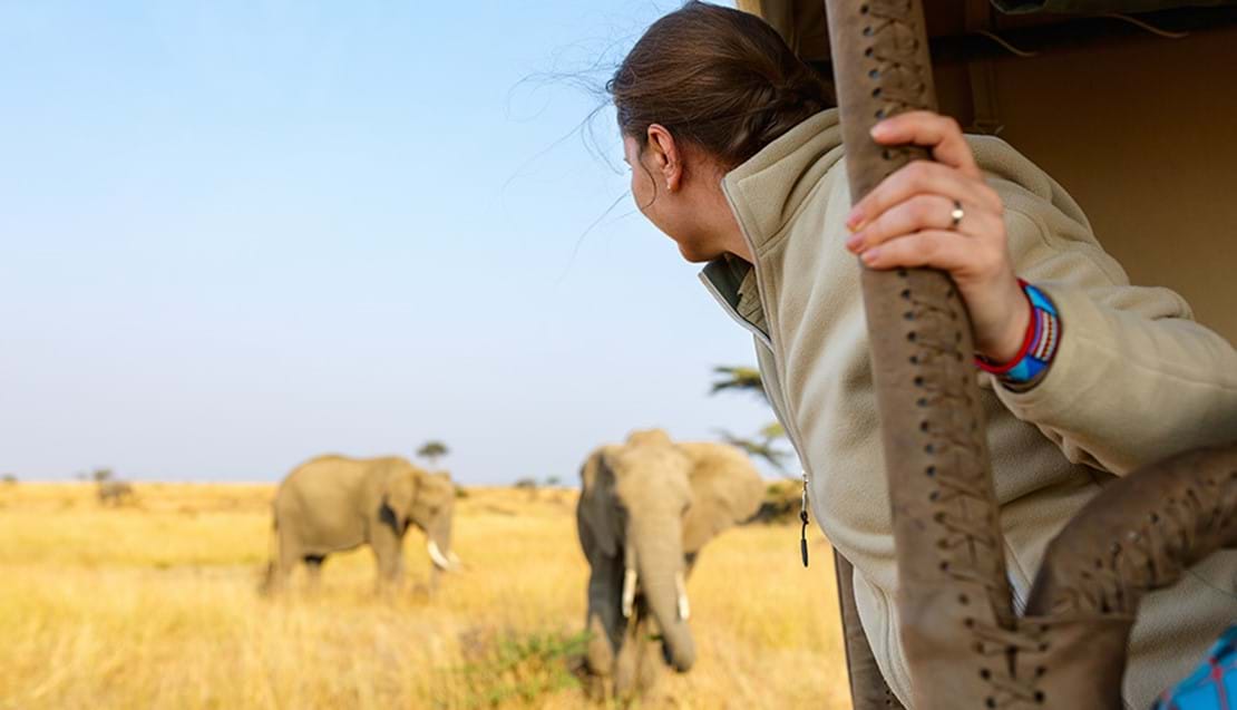 Best Time for African Safari Image Best Time for Uganda Safari