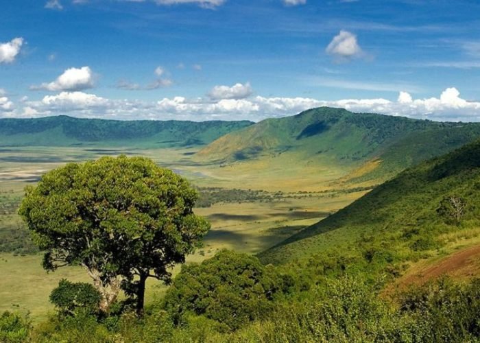 Rwanda safari