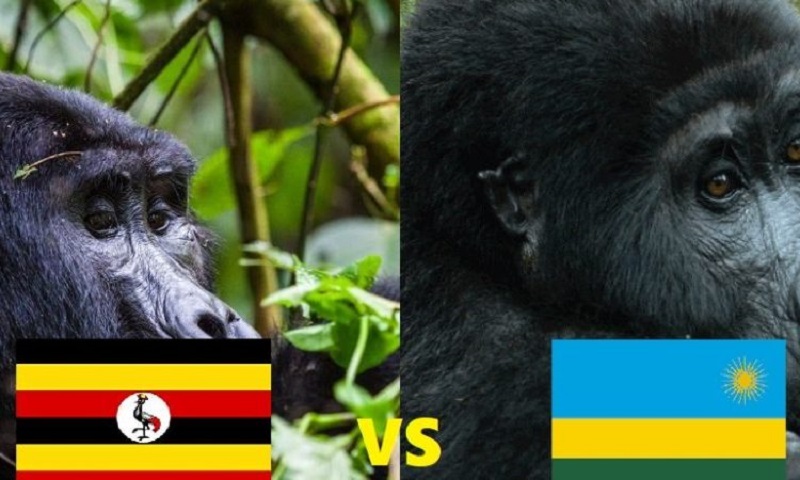 Uganda and Rwanda Safari Experiences