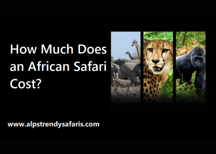 uganda-vs-rwanda-safari-comparison