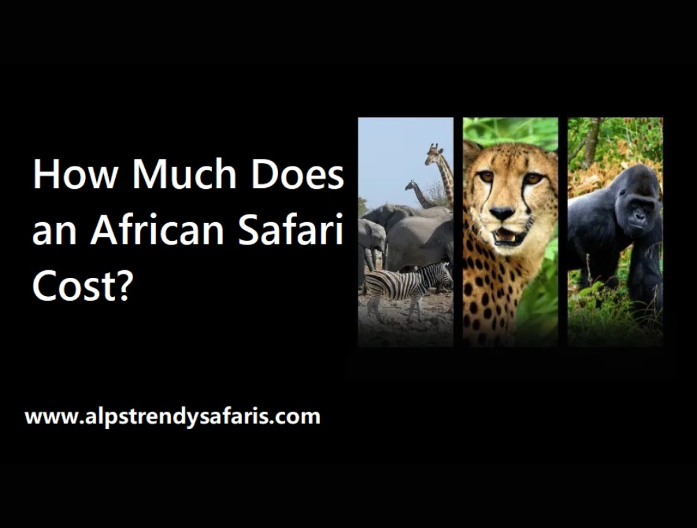 uganda-vs-rwanda-safari-comparison uganda-vs-rwanda-safari-comparison